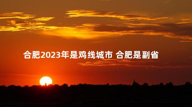 合肥2023年是鸡线城市 合肥是副省级城市吗